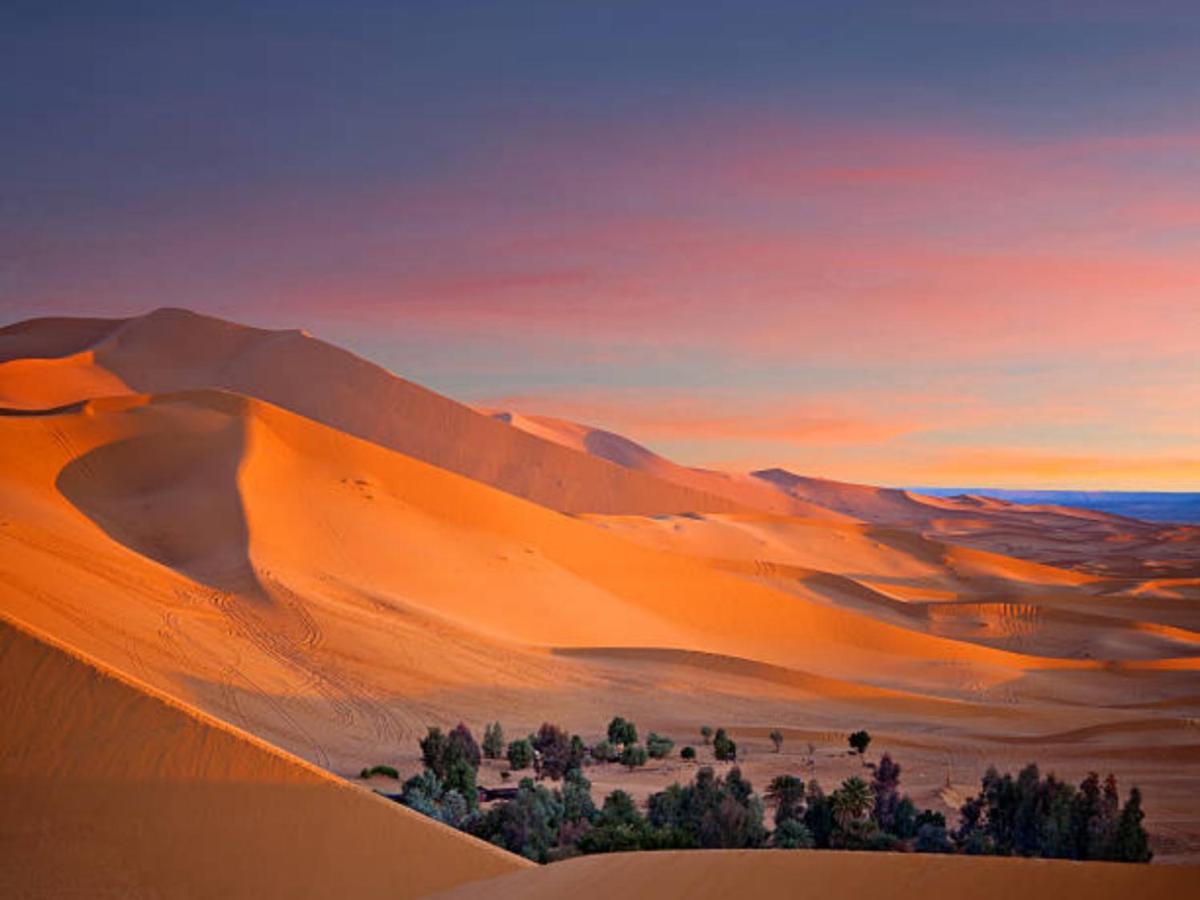 Desert Paradise Luxury Camp Merzouga Eksteriør billede