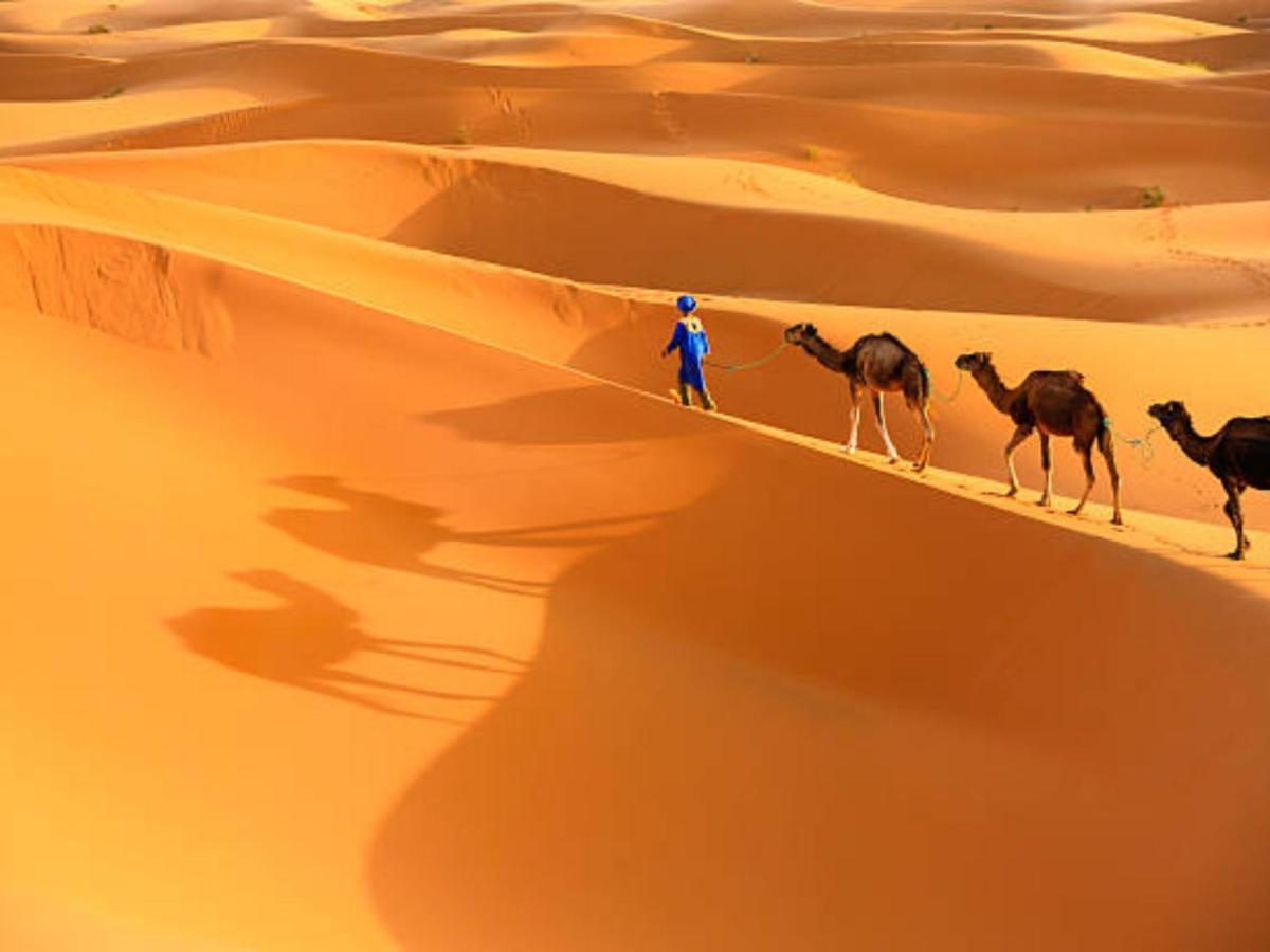 Desert Paradise Luxury Camp Merzouga Eksteriør billede