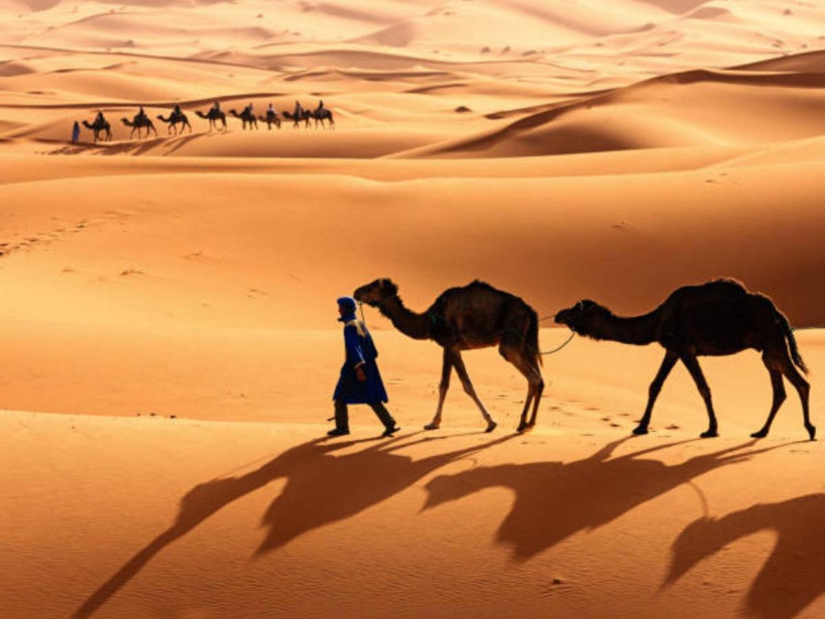 Desert Paradise Luxury Camp Merzouga Eksteriør billede